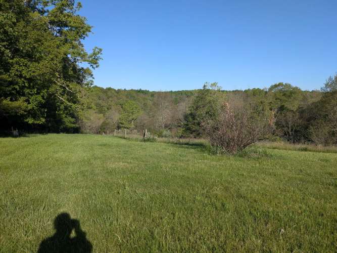 Listing Image 32