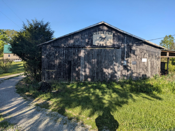 Listing Image 66