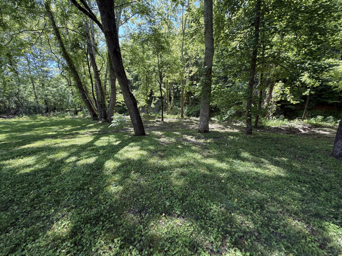 Listing Image 45