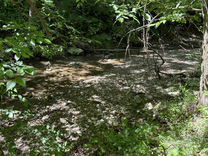 Listing Image 47