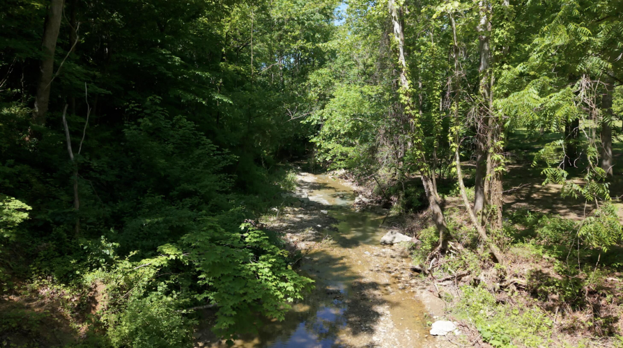 Listing Image 56