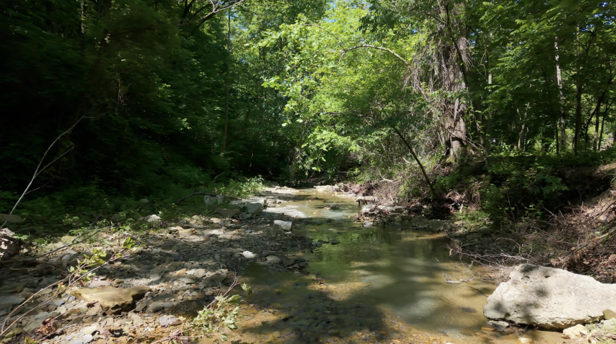 Listing Image 57