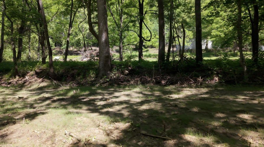 Listing Image 58