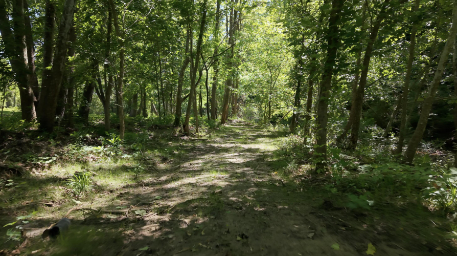 Listing Image 59