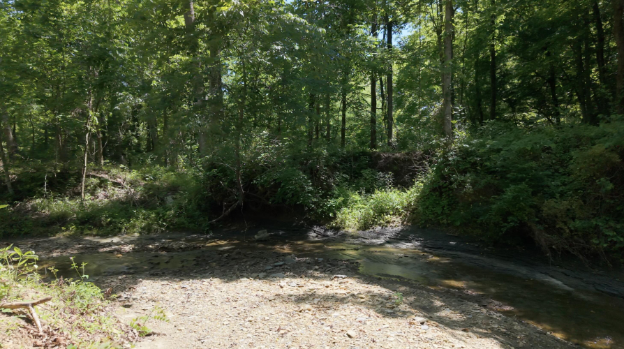 Listing Image 61