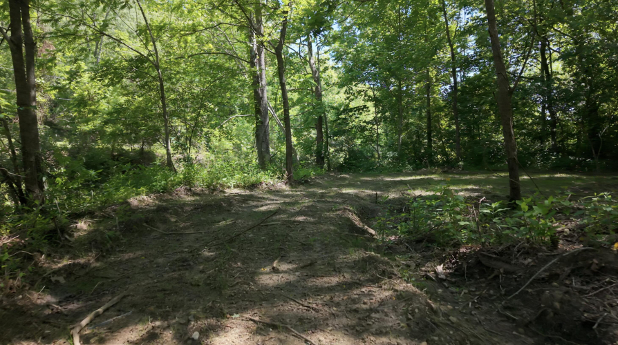 Listing Image 62