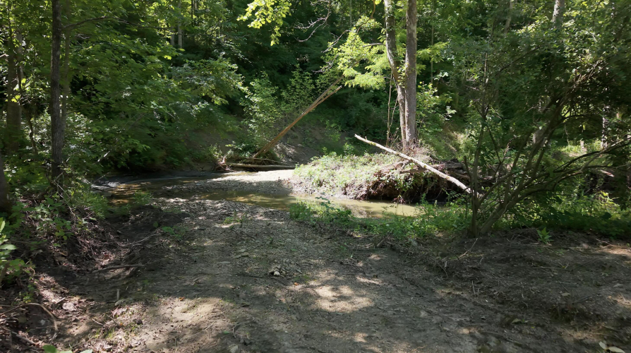 Listing Image 64
