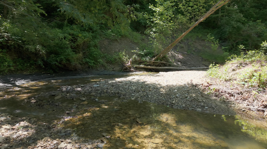 Listing Image 65