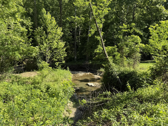 Listing Image 66