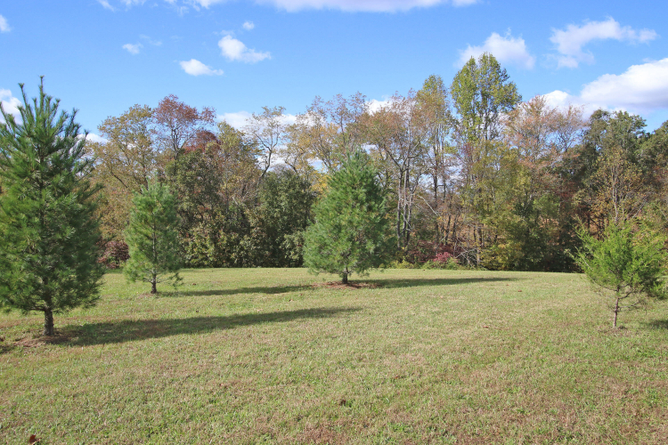 Listing Image 32