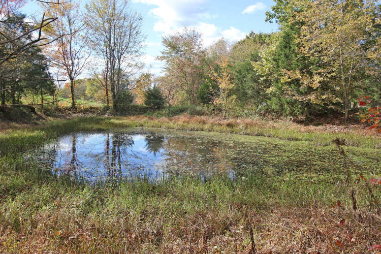 Listing Image 33