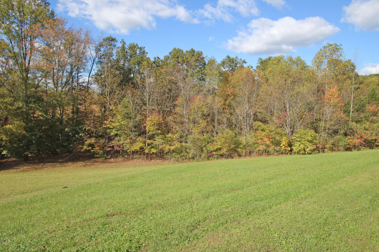 Listing Image 34