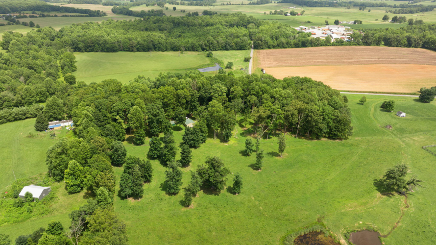Listing Image 29