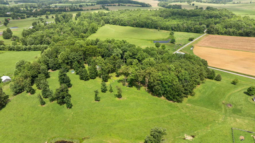 Listing Image 30