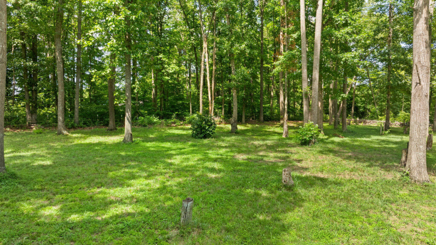 Listing Image 45