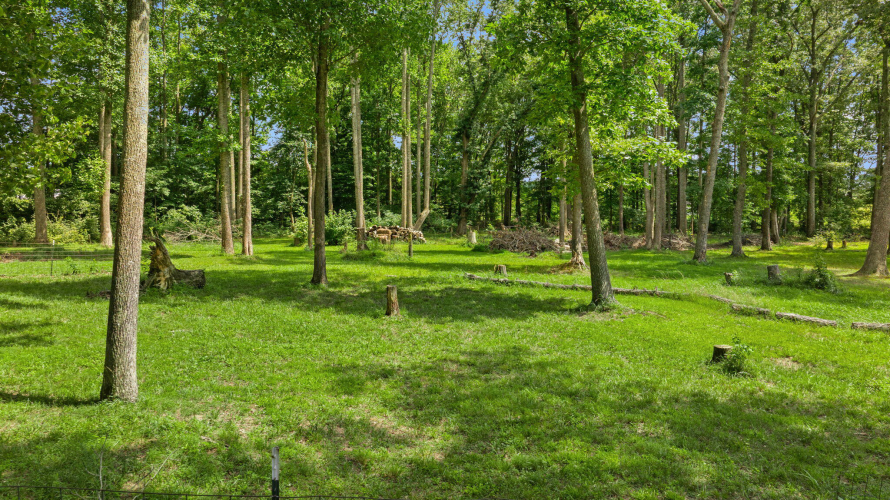 Listing Image 47