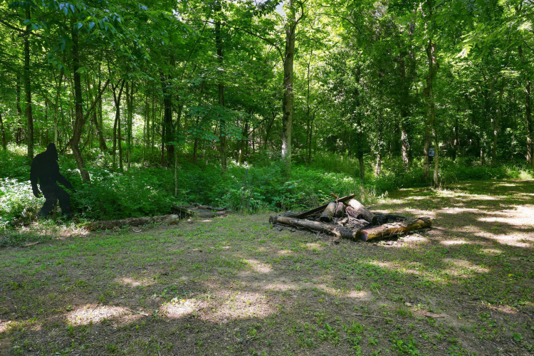 Listing Image 45