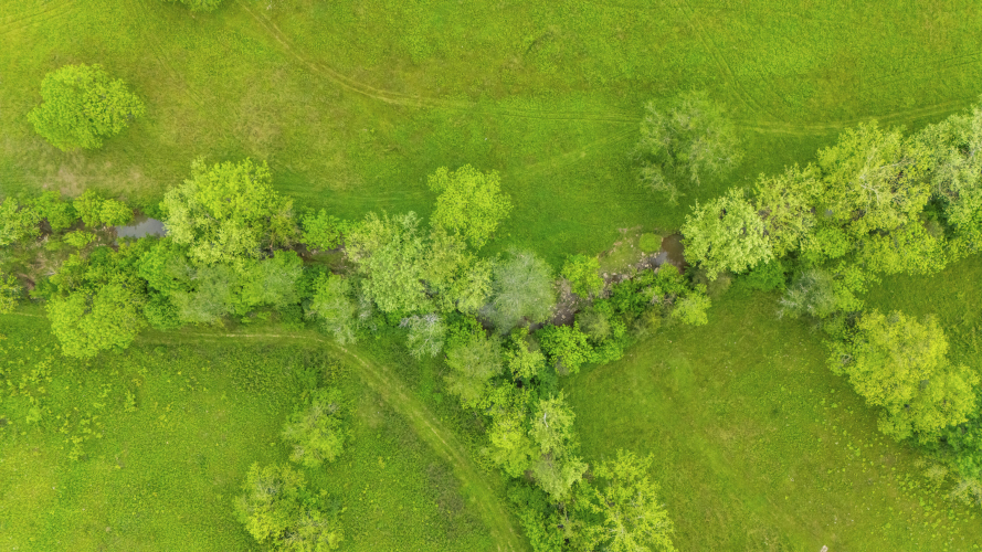 Listing Image 47