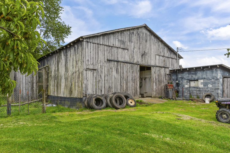 Listing Image 50