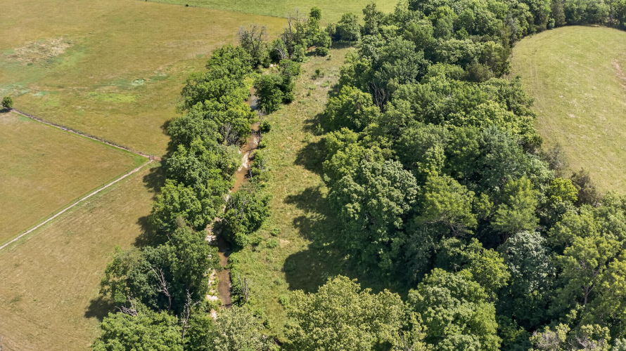 Listing Image 71