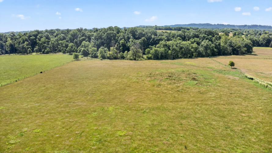 Listing Image 74