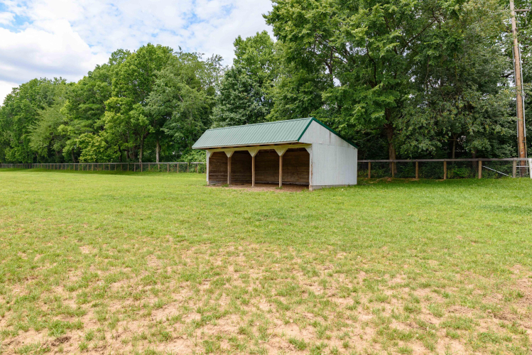 Listing Image 114