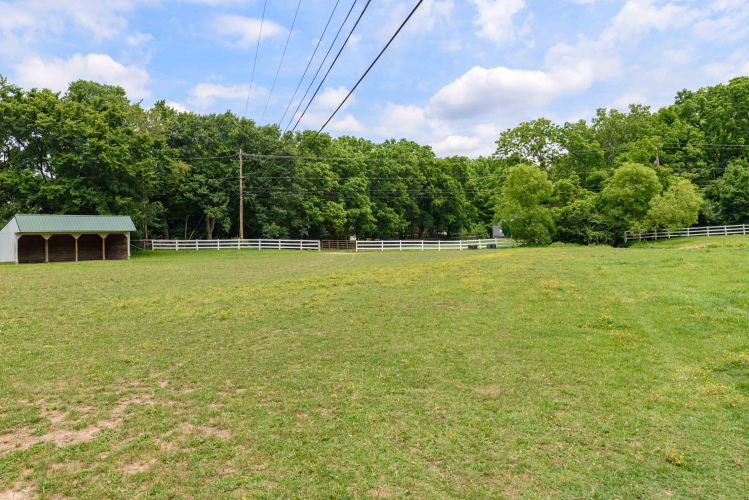 Listing Image 115