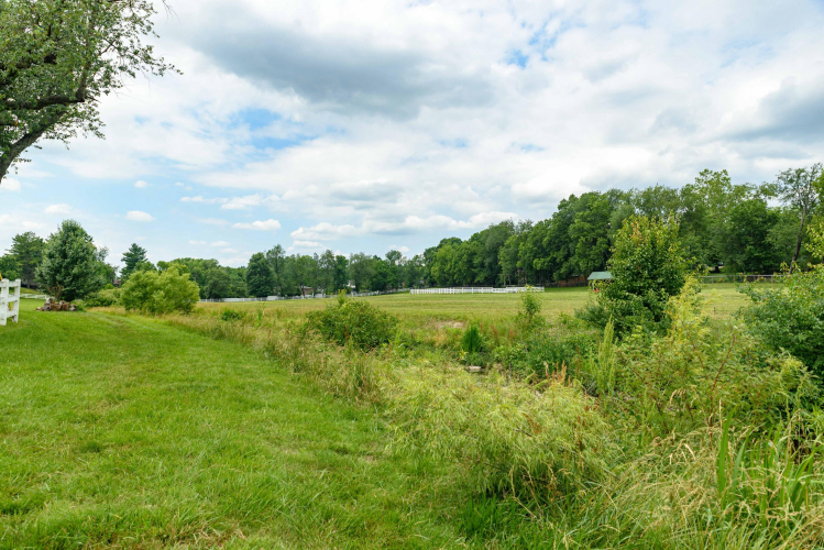 Listing Image 119