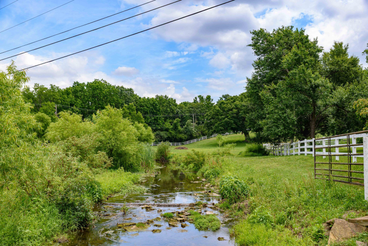 Listing Image 120