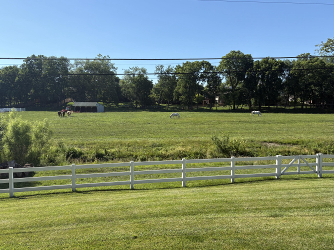 Listing Image 91