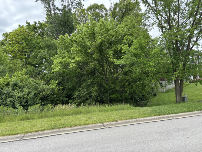Listing Image 16