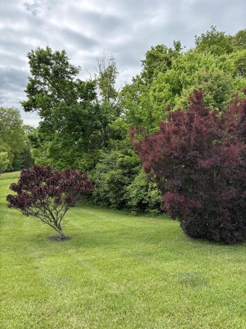 Listing Image 23