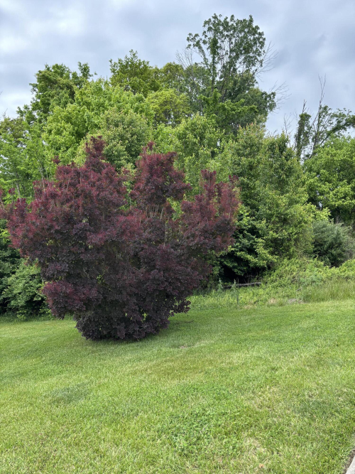 Listing Image 24