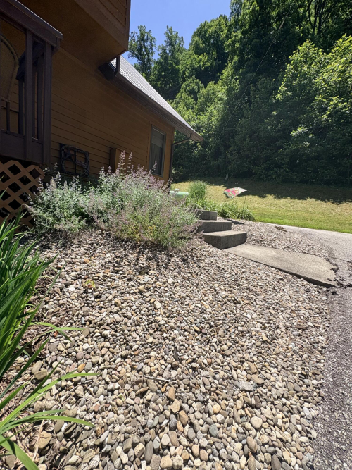 Listing Image 149
