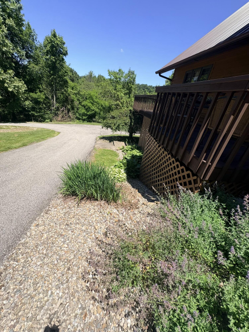 Listing Image 150