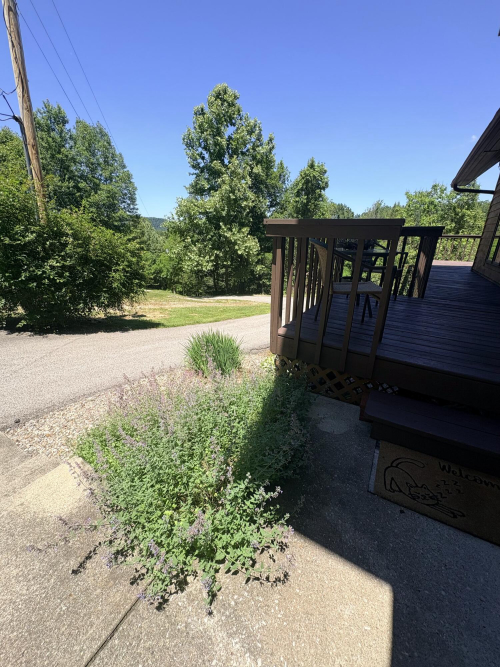 Listing Image 151
