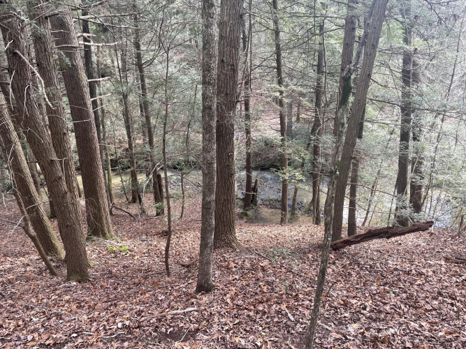 Listing Image 43