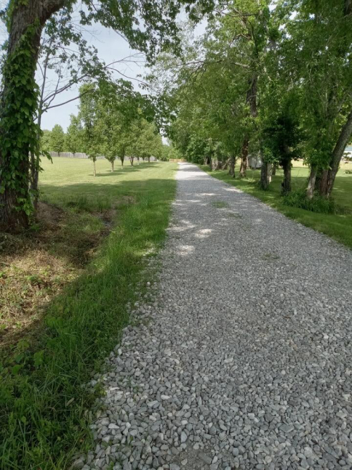 Listing Image 33