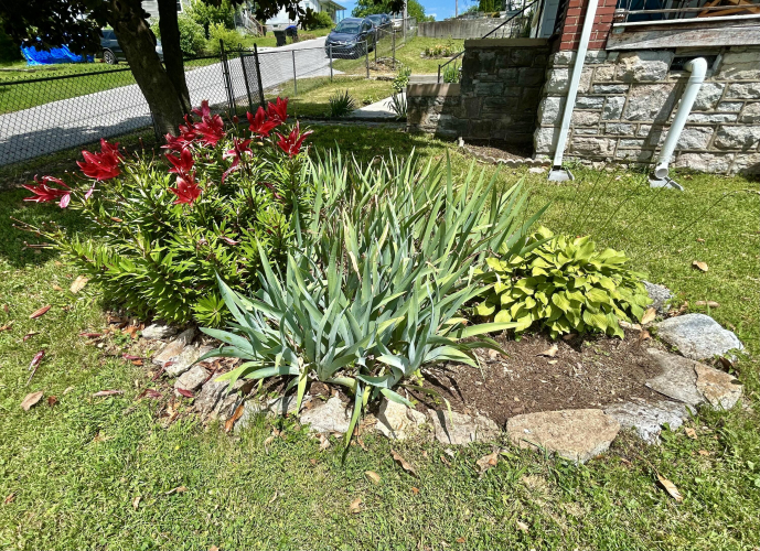 Listing Image 19