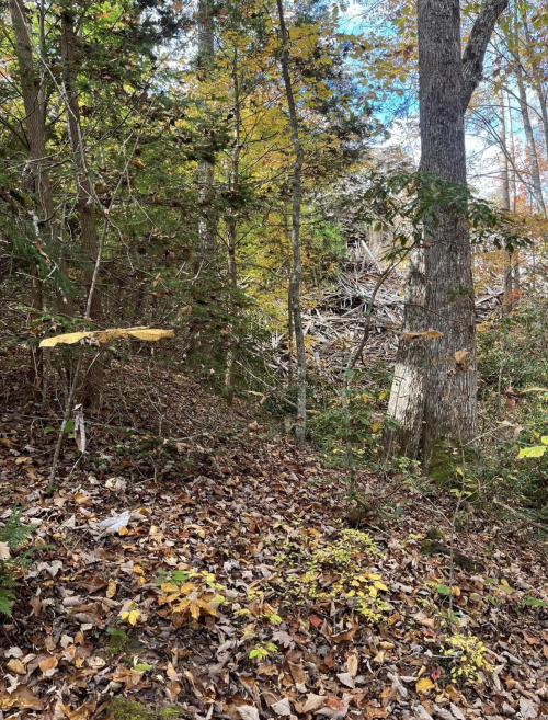 Listing Image 21