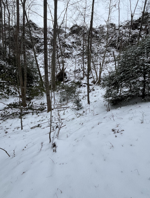 Listing Image 47