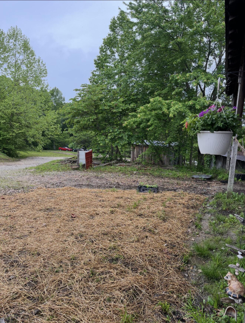 Listing Image 50