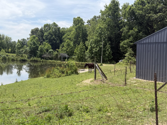 Listing Image 36