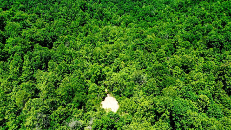 Listing Image 11