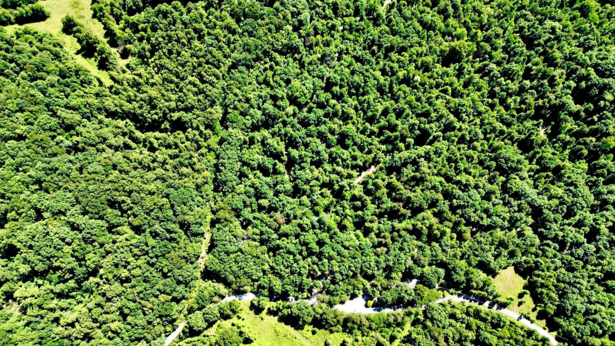 Listing Image 15