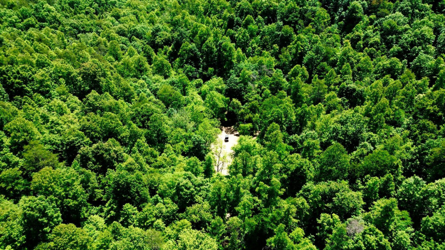 Listing Image 18