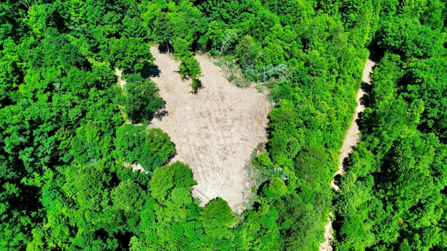 Listing Image 19