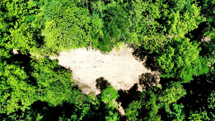 Listing Image 23