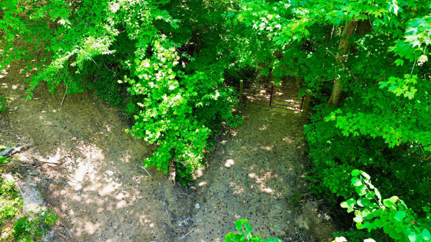 Listing Image 25