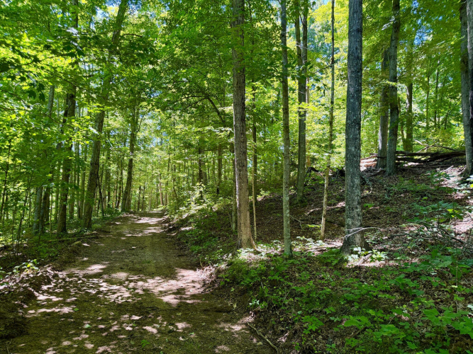 Listing Image 31